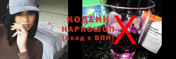прущие грибы Абаза