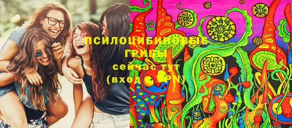 амф Алексеевка
