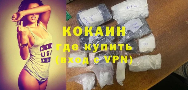 прущие грибы Абаза